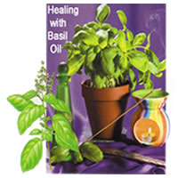 Healing With Basil Oil