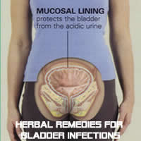 Herbal Remedies for Bladder Infections