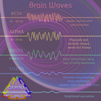 Brain Wave States